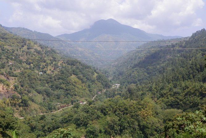 blue-mountain-tour-with-hotel-transportation