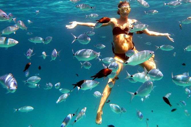boat-and-snorkeling-private-tour-max-6-people