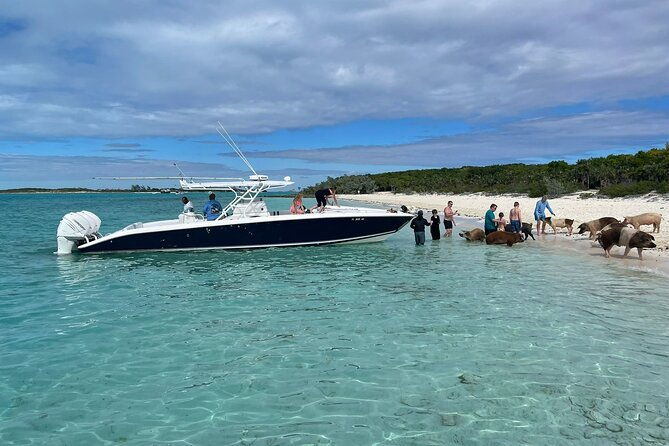 boat-charters-excursions