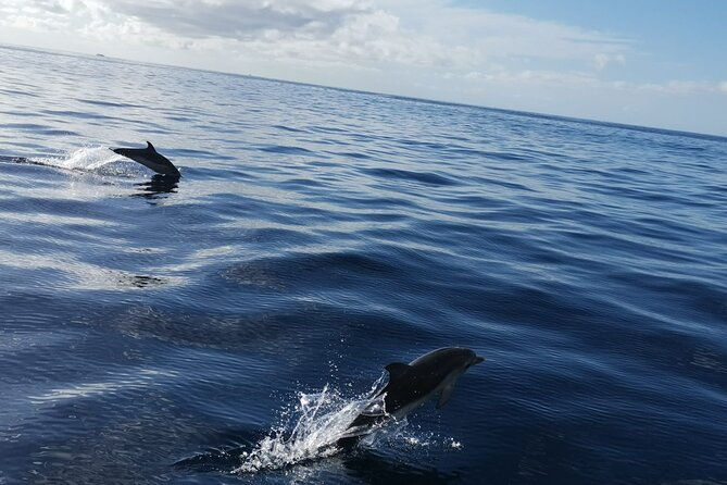 boat-trip-along-the-northwest-coast-of-la-palma-2