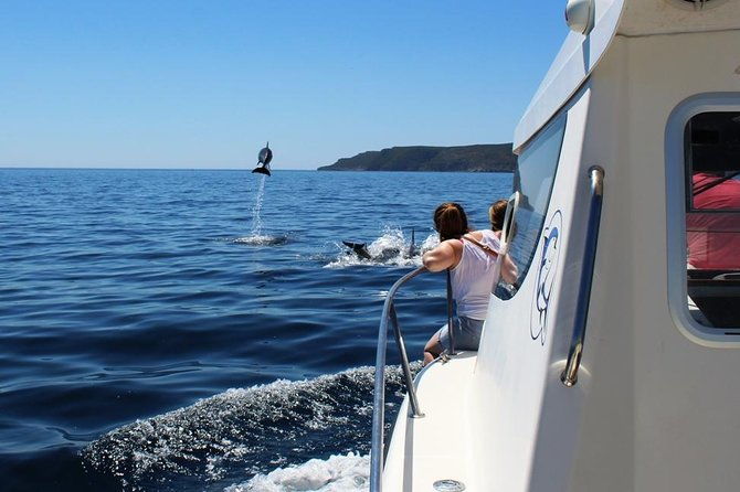 boat-trip-for-dolphin-watching-along-the-arrabida-coast-and-sesimbra-2