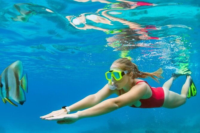 boatride-snorkeling-then-margaritaville-hipstrip-activity