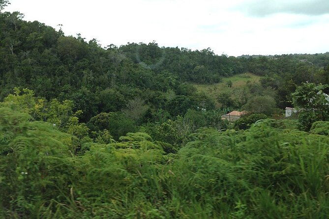 bob-marley-birthplace-nine-miles-tour-from-ocho-rios