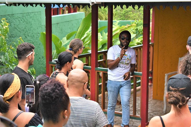 bob-marleys-nine-mile-day-trip-with-admission-guided-tour-from-falmouth