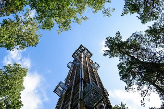 bogs-and-resorts-in-jurmala
