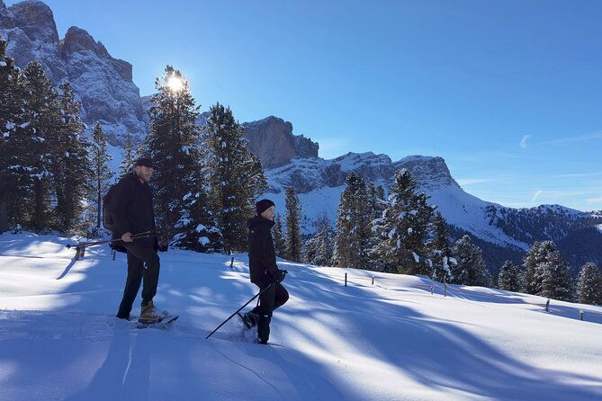 bolzano-dolomites-winter-hiking-sledding-experience
