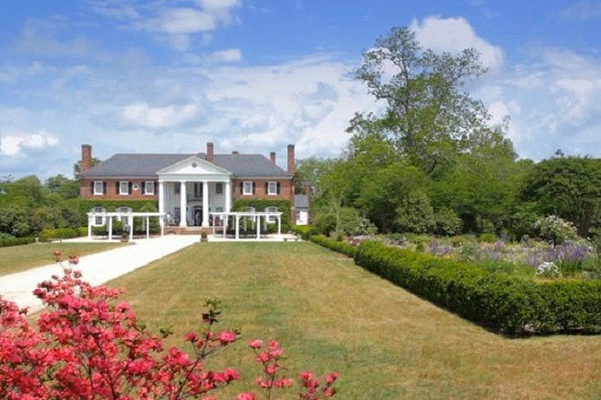 boone-hall-plantation-admission-tour-with-transportation-from-charleston