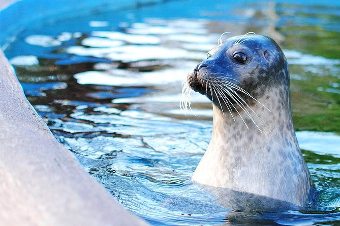 boston-pass-save-up-to-50-includes-franklin-park-zoo