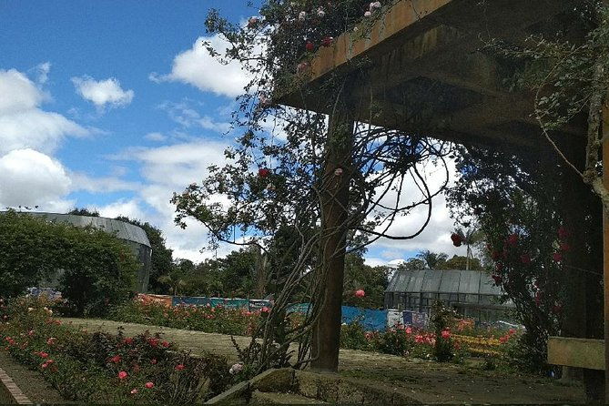 botanical-garden-bogota-private-tour-4-hrs