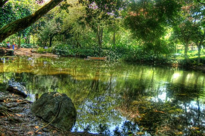 botanical-gardens-and-medellin-city-walking-tour