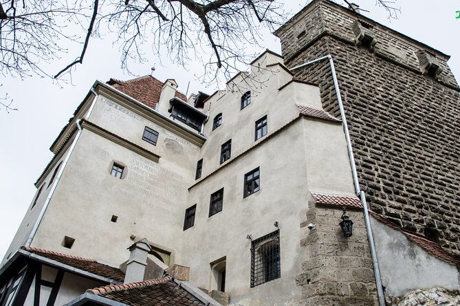 bran-castle-bear-sanctuary-and-rasnov-fortress-half-day-tour-2