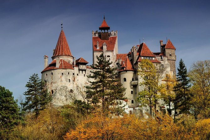 bran-dracula-castle-bear-sanctuary-rasnov-fortress-palinca-distillery