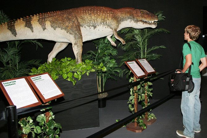 branson-dinosaur-museum-admission-ticket-2