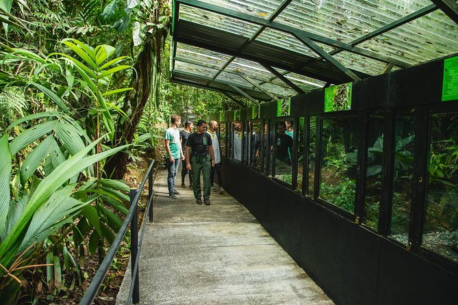 braulio-carrillo-half-day-pass-including-aerial-tram-tour