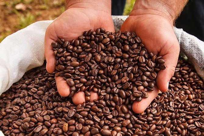 britt-coffee-tour-with-lunch-private-tour-from-san-jose