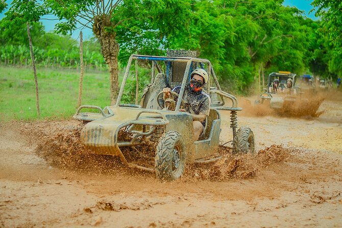 buggy-ride-into-the-jungle-with-cave-coffee-chocolate-tasting