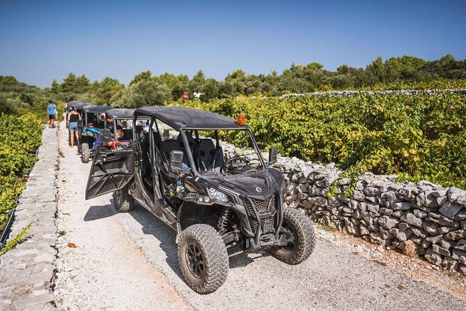 buggy-safari-with-wine-tasting-2