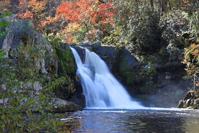 cades-cove-sightseeing-self-guided-driving-audio-tour