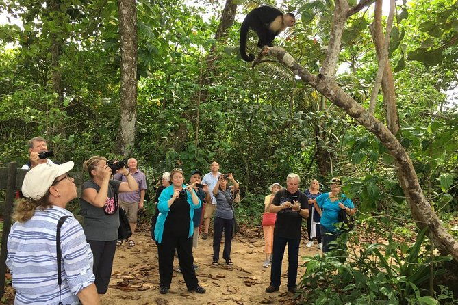 cahuita-national-park-banana-plantation-tour-shore-excursion-from-puerto-limon