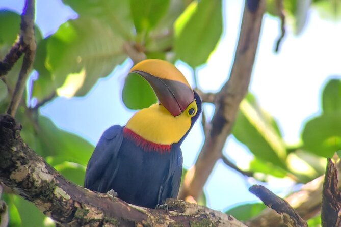 cahuita-national-park-hiking