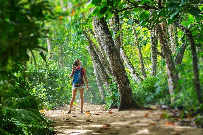 cahuita-national-park-walk-and-banana-plantation-shore-excursion-from-limon