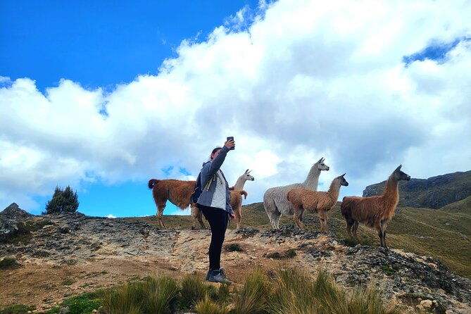 cajas-unveiled-a-half-day-escape-from-cuenca
