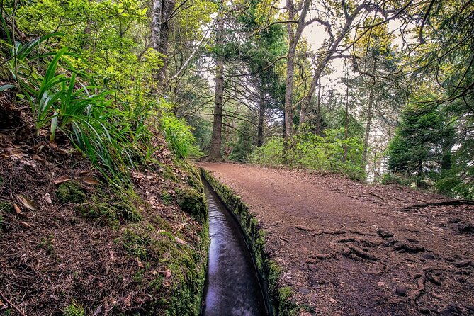 caldeirao-verde-levadas-walk-in-madeira