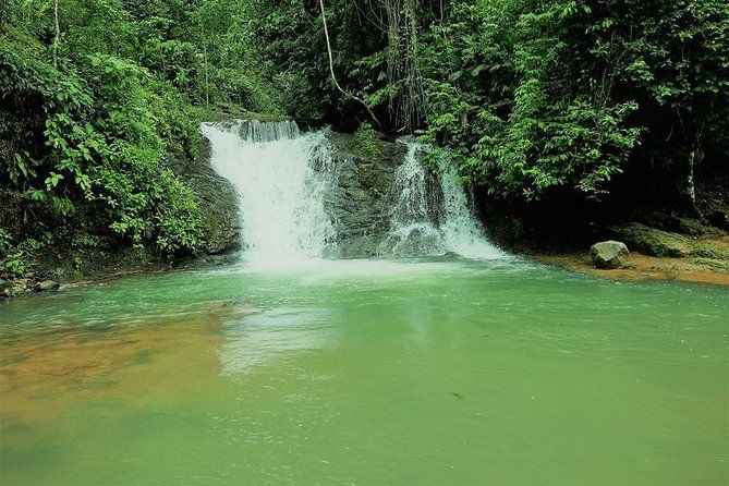 campesinos-waterfalls-and-hanging-bridges-from-manuel-antonio