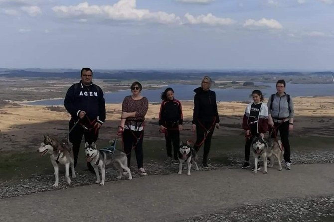 cani-rando-fun-and-original-hiking-pulled-by-huskies-2
