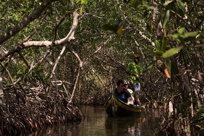 canoe-trip-in-the-mangrove-forest-in-la-boquilla