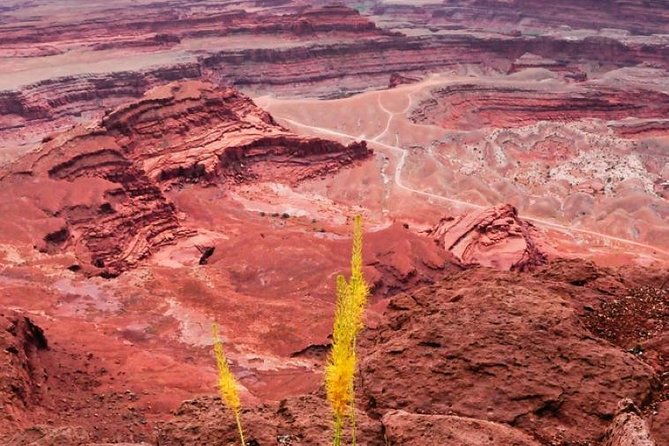 canyonlands-national-park-backcountry-4x4-adventure-from-moab