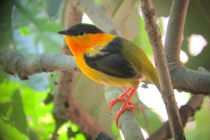 carara-national-park-tour