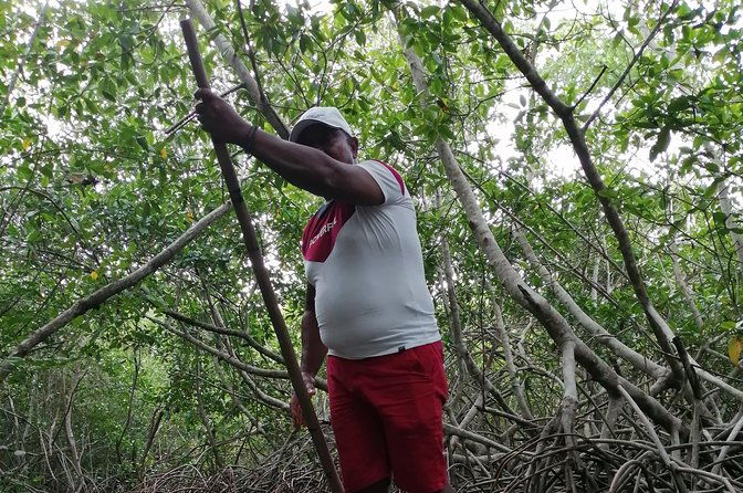 cartagena-boquilla-and-mangroves-canue-ride-also-for-cruisers