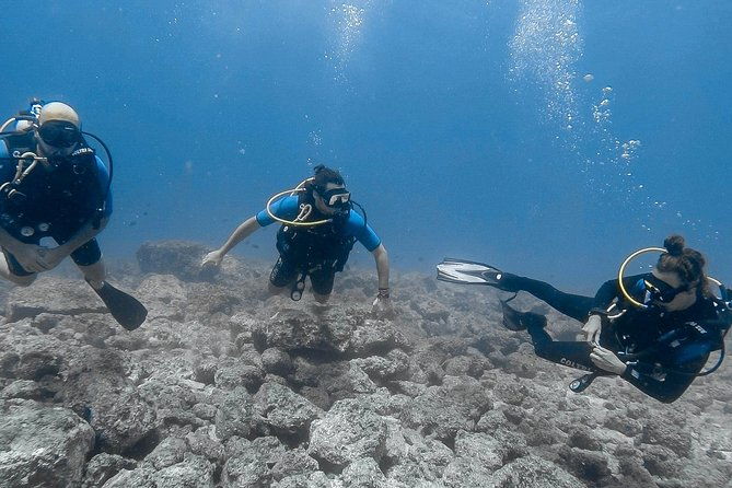 catalina-island-diving-tour-from-tamarindo-certified-only