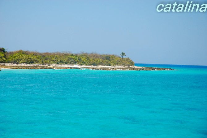 catalina-island-snorkeling-tour