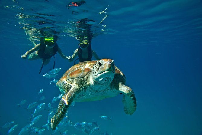 catamaran-and-snorkeling-cruise-at-carlisle-bay