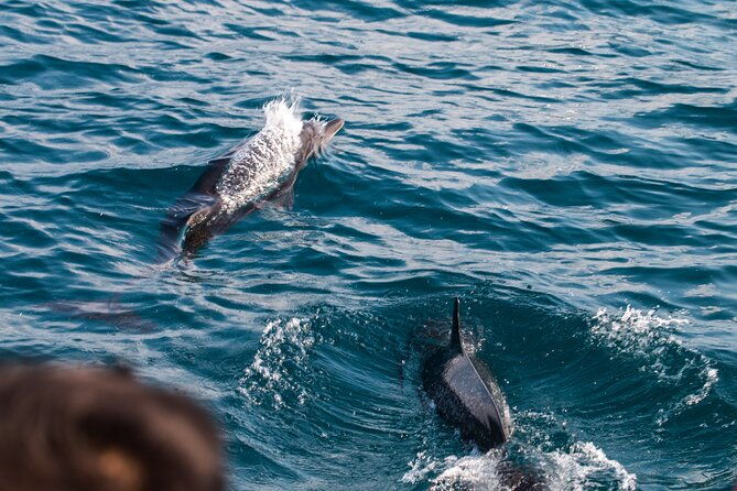 catamaran-and-snorkeling-tour-in-costa-rica