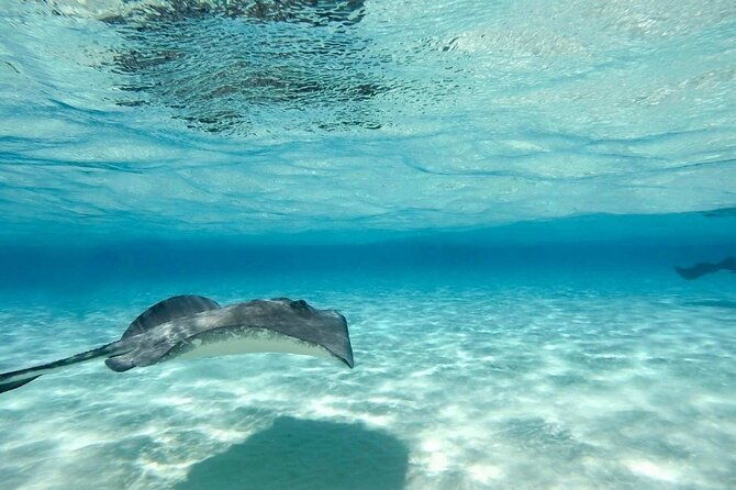 cayman-ultimate-tour-stingrays-starfish-point-and-crystal-caves