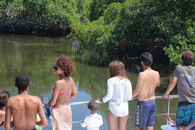 cayo-arena-catamaran-cruise-from-puerto-plata-with-lunch