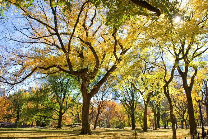 central-park-photography-tour-with-local-photographer