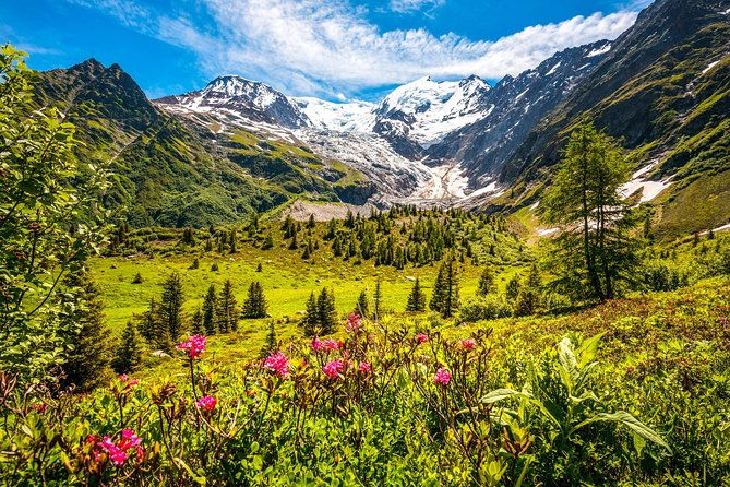 chamonix-and-mont-blanc-private-day-trip-from-geneva