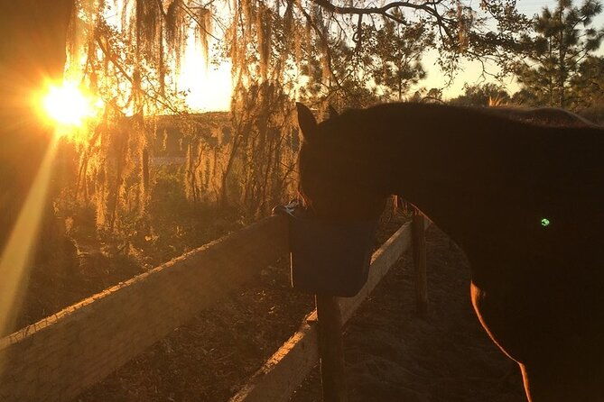 champagne-and-charcuterie-sunset-trail-ride