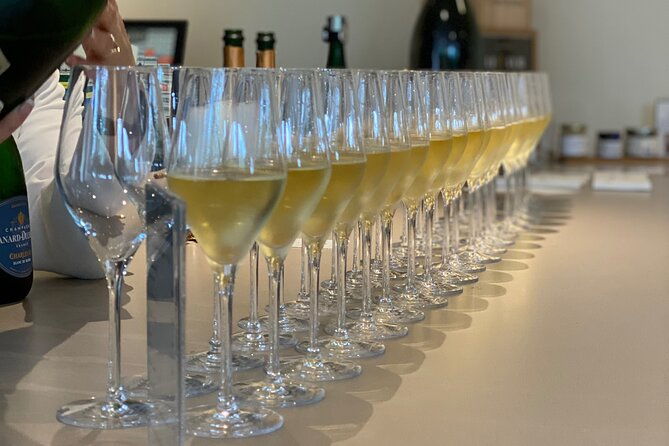 champagne-cellars-vineyards-tour-from-reims-full-day