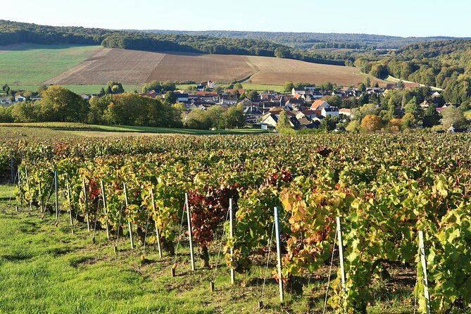 champagne-guy-de-chassey-traditional-tour-tasting
