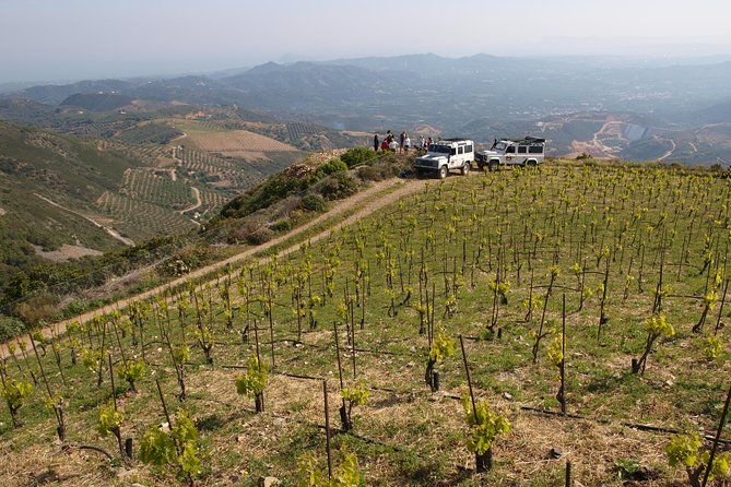 chania-shore-excursion-off-road-vineyard-and-winery-tour-half-day-2