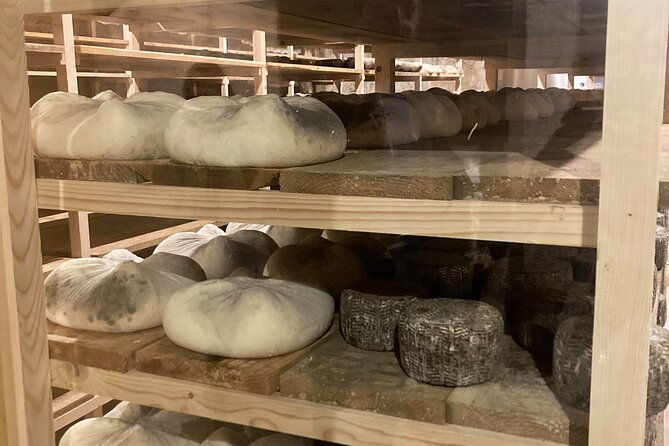 cheese-factory-workshop-with-wine-tasting-in-requena-valencia