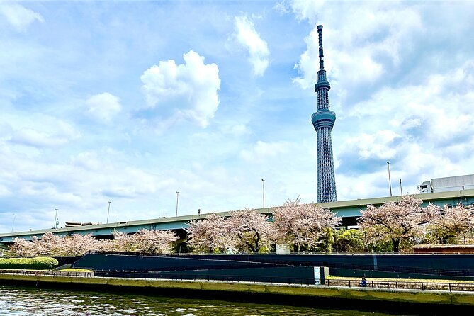 cherry-blossom-cruise-on-tokyo-bay-dinner-and-japan-show