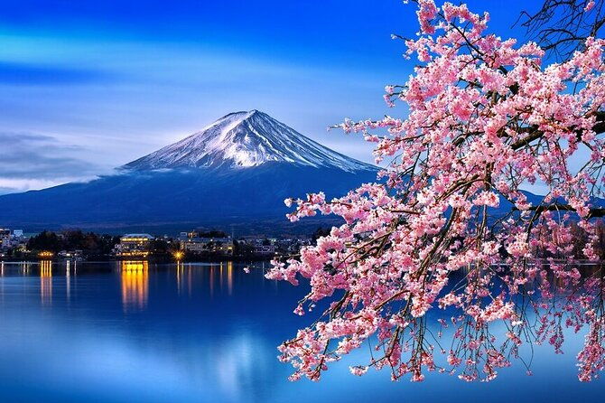 cherry-blossom-mount-fuji-customizable-luxury-vehicle-guided-tour