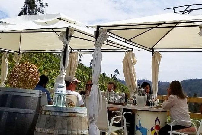 chile-wine-boutique