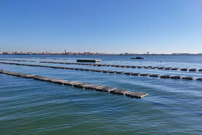 chioggia-aquaculture-secrets-tours-of-the-lagoon